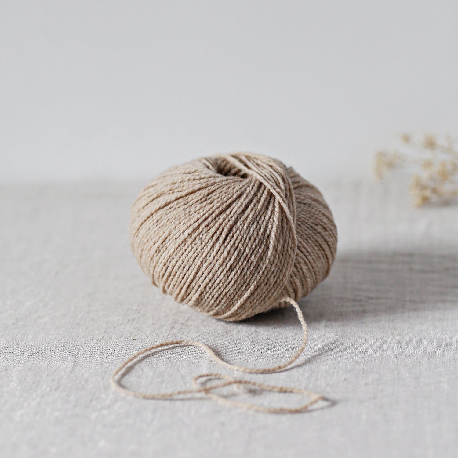 De Rerum Natura Ulysse merino wol kleur Biche