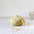 De Rerum Natura Ulysse merino wol kleur Creme Anglaise