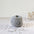 De Rerum Natura Ulysse merino wol kleur Goeland