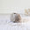 De Rerum Natura Ulysse merino wol kleur Poivre et Sel